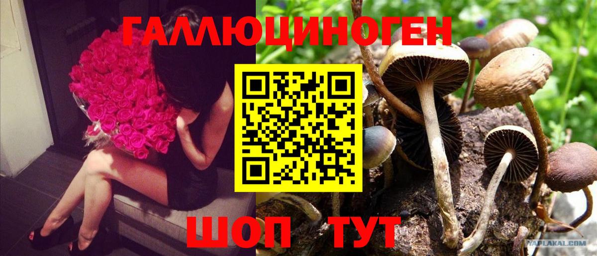 Галлюциногенные грибы MAGIC MUSHROOMS Мурманск